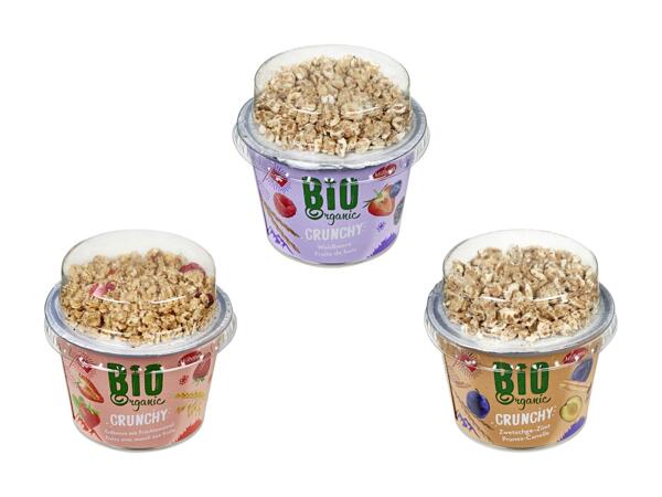 Yogourt Crunchy bio