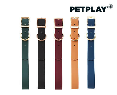 Dog Lead and Collar Assortment