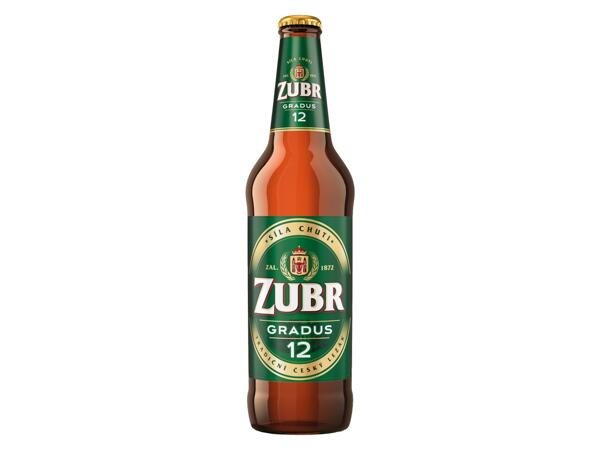ZUBR GRADUS