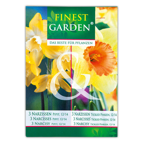 Blumenzwiebel Mischung