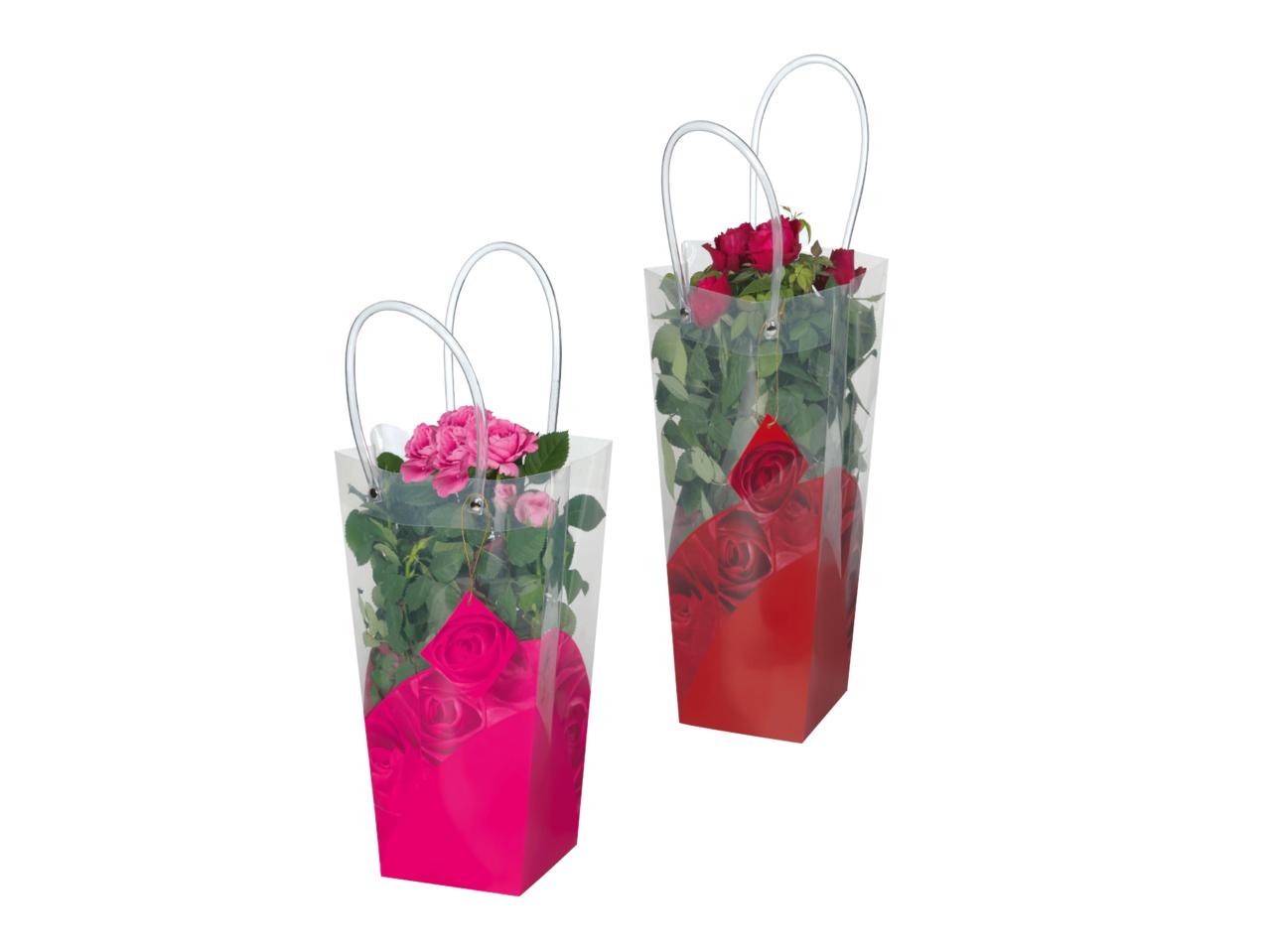 Valentine's Rose in Presentation Bag