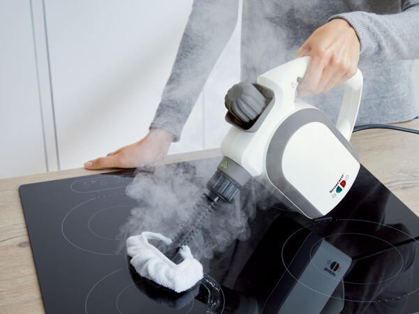 Hand Held Steam Cleaner