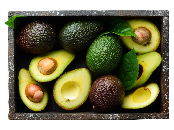 Avokado