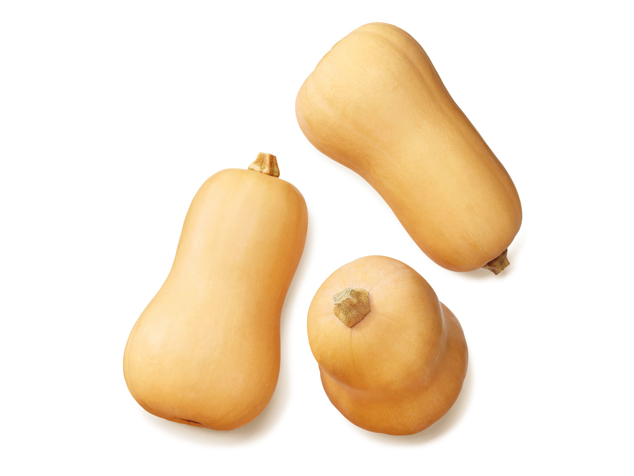 MATPUMPA BUTTERNUT