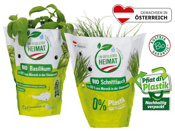 Bio Küchenkräuter aus Österreich