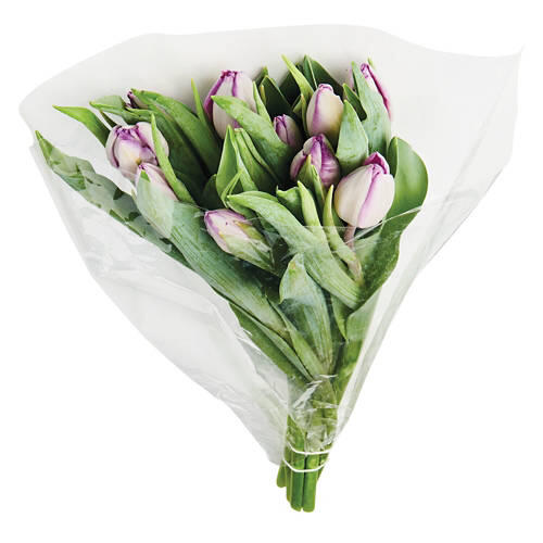 10 Stem Tulip Bouquet - Assorted Colors