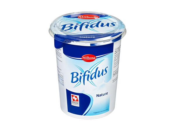 Yogourt nature Bifidus