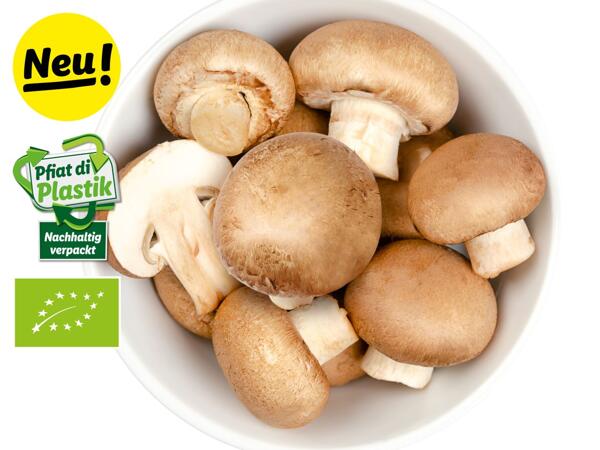 Bio Champignons braun aus Tirol