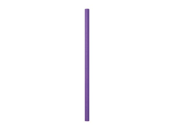 Purple Pool Noodle