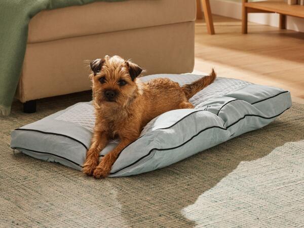 Dog Bed