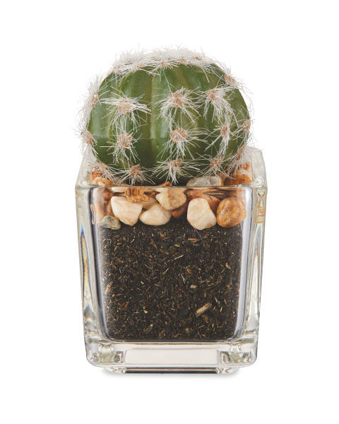 Artificial Rounded Succulent