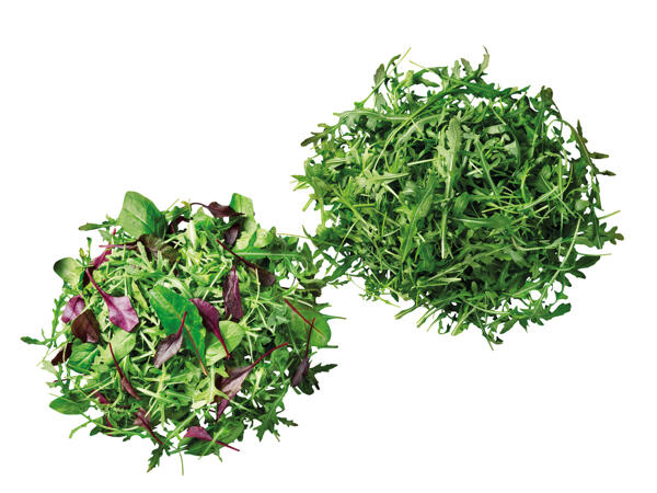 Mix-Salat oder Rucola