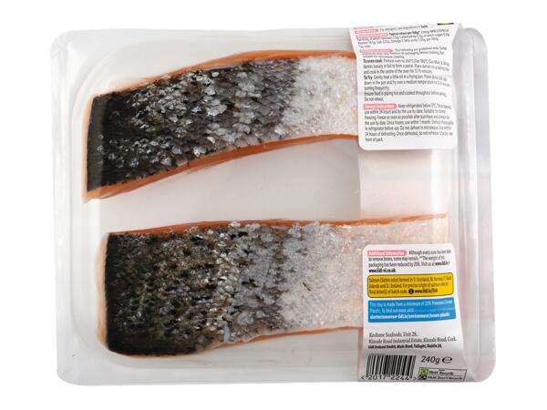 XXL 4 Salmon Darnes