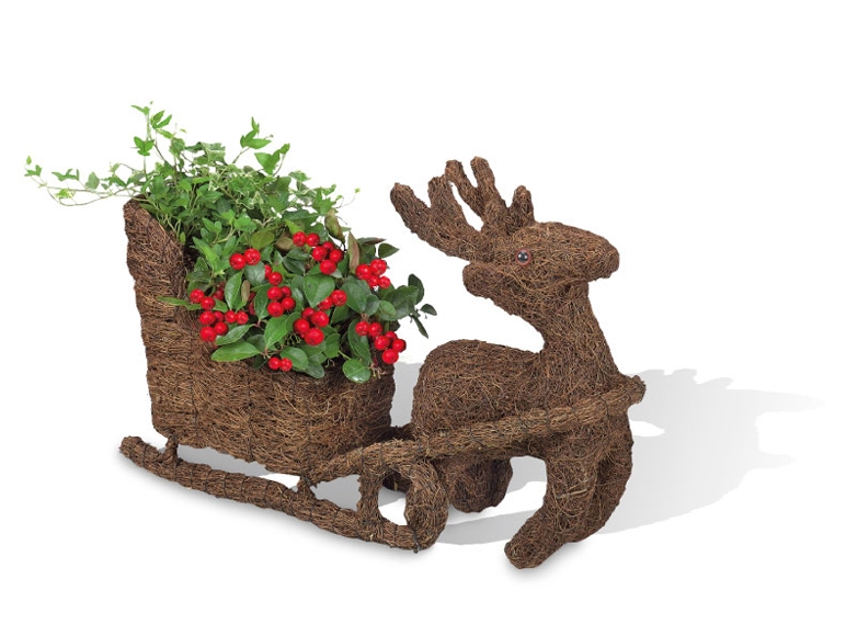 Christmas Reindeer with Sleigh Planter