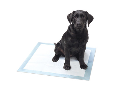 Heart to Tail Training Pads