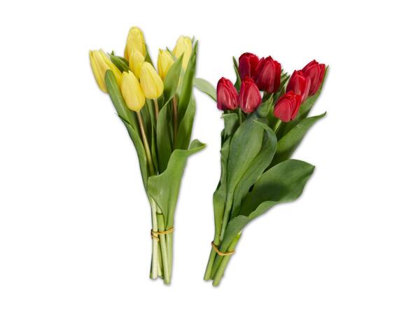 Tulpenstrauß einfärbig