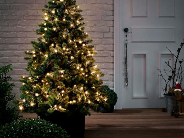 LED Fairy Lights