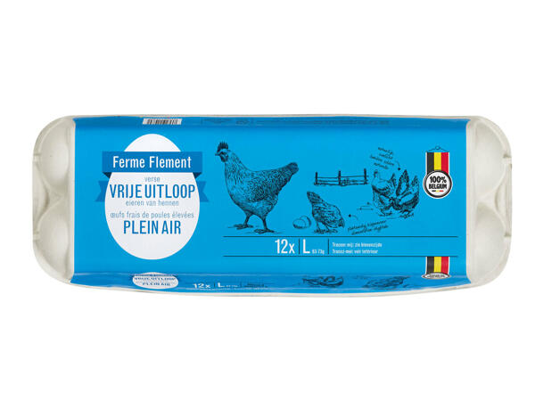 Oeufs de poules élevées en plein air