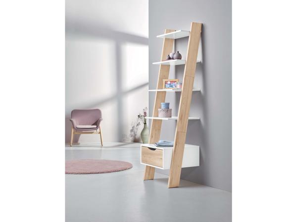 Ladder Shelving Unit