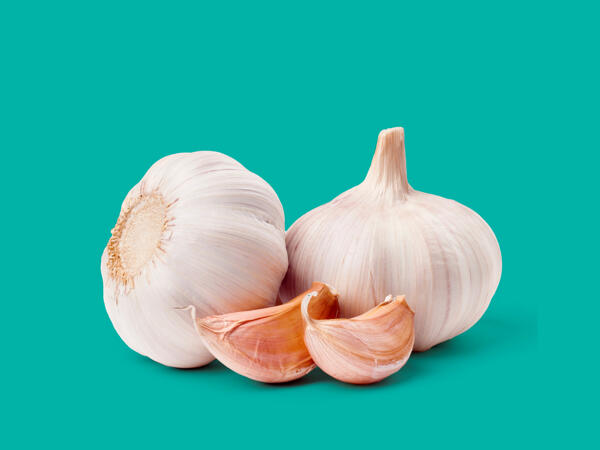 Garlic