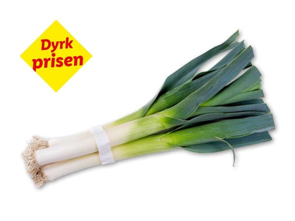 Danske porrer