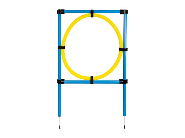 Zoofari Dog Agility Set