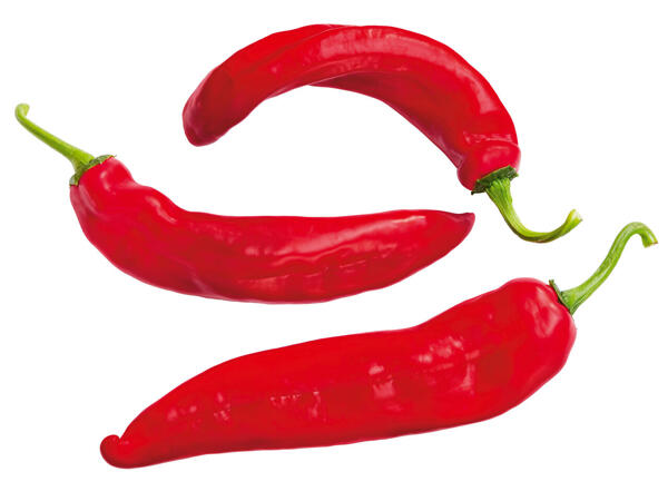 Spitzpaprika rot
