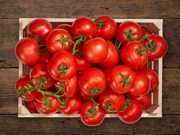 Tomates bio