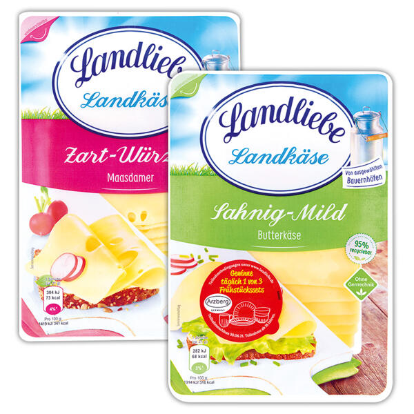 Landkäse XXL
