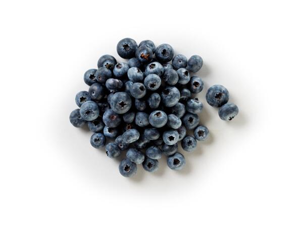 Blueberries XXL