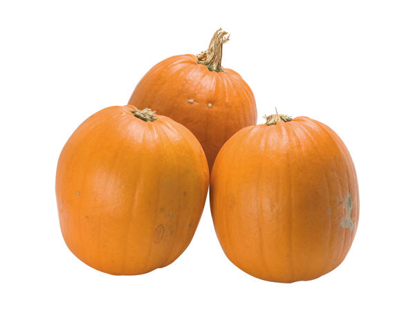 Dansk halloweengræskar