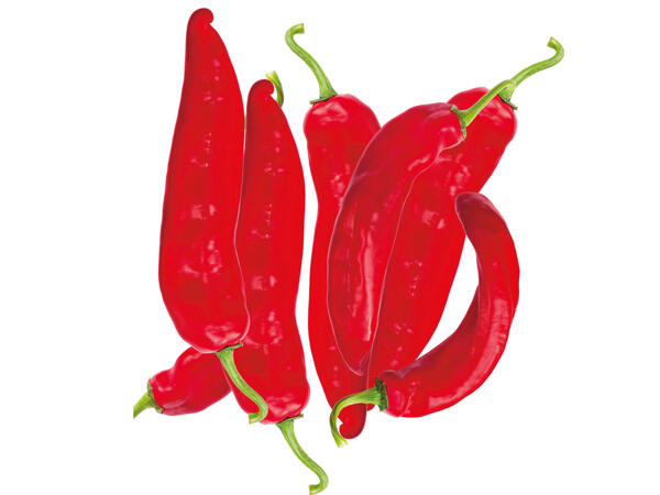 Spitzpaprika rot