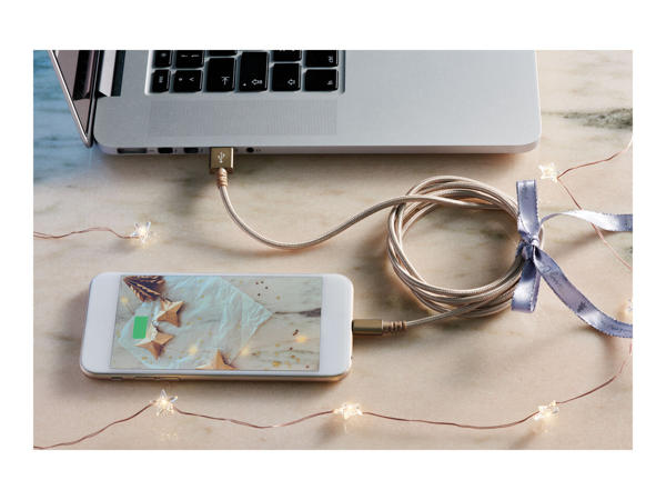 Silvercrest Charging and Data Cable