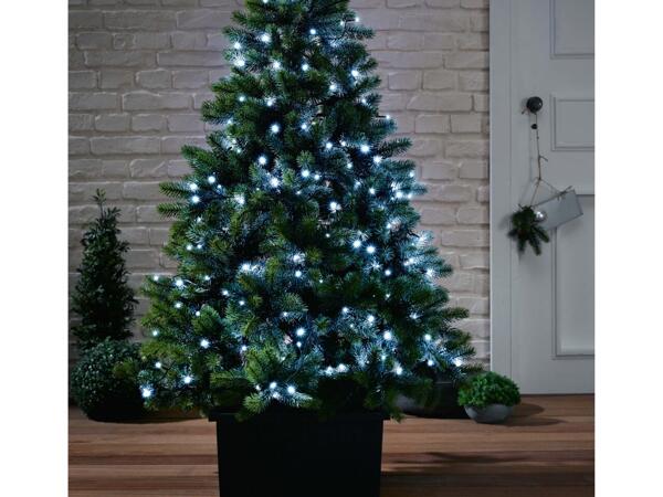 Fairy Lights