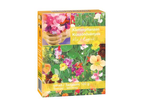 Vilde sommerblomsterfrø