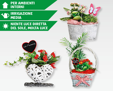 Composizioni per la festa della mamma