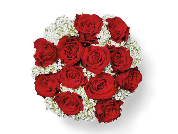 Dozen Large Roses