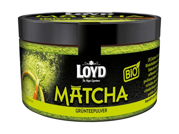 Matcha japonais Loyd Bio