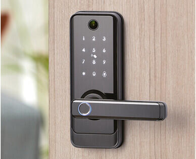 Smart Lock with Video Doorbell