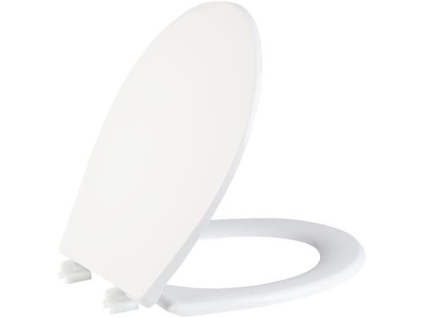 Toilet Seat