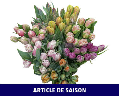 BOUQUET DE TULIPES