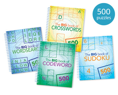Big Puzzle Book