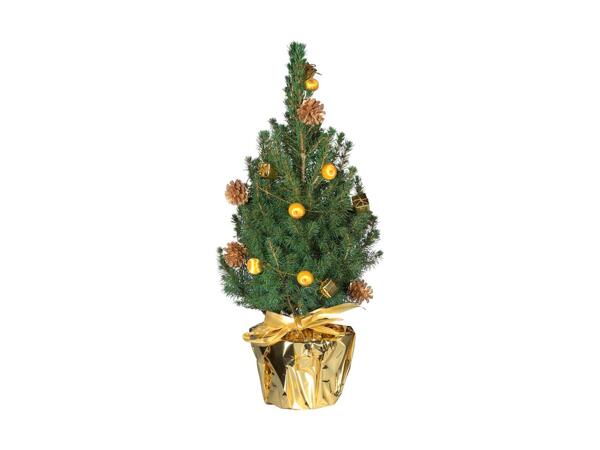 Decorated Christmas Tree