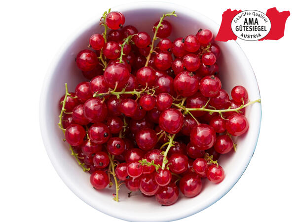 Ribisel aus der Steiermark