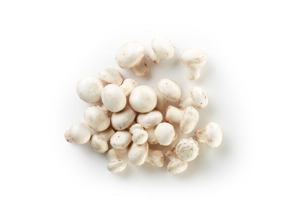 Mushrooms