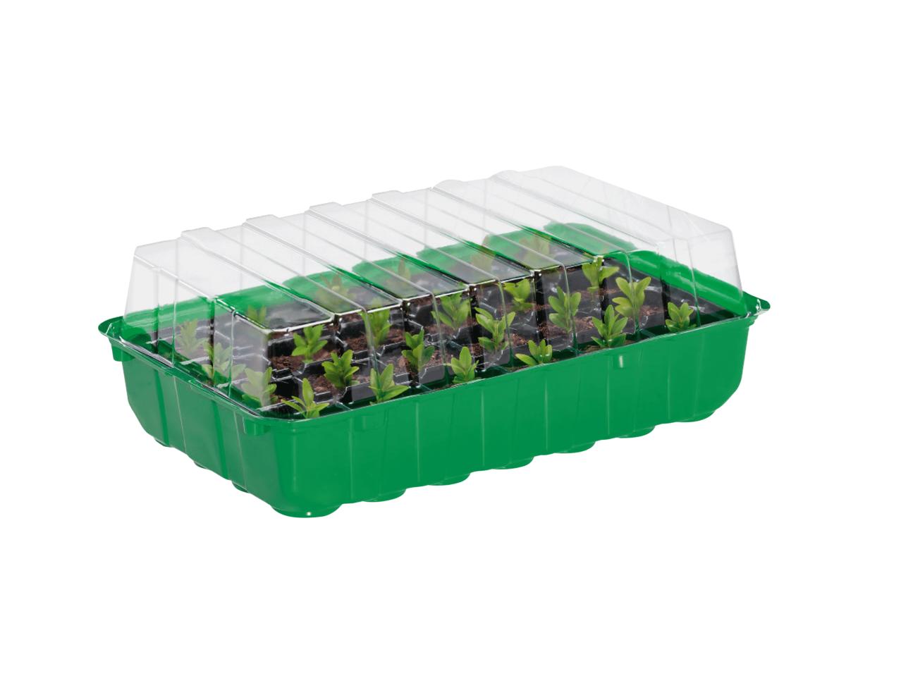 FLORABEST Seed Box Set