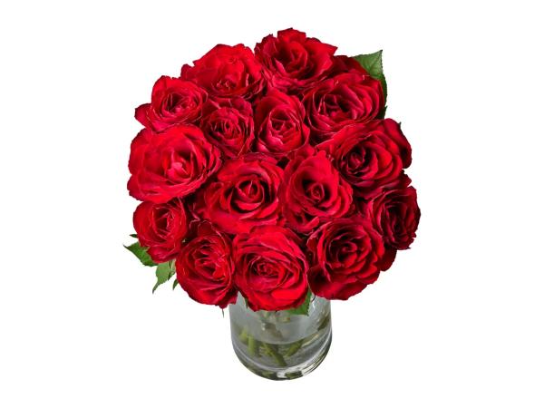 Classic Red Roses