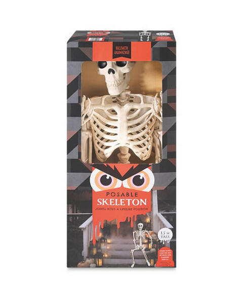 Posable Skeleton