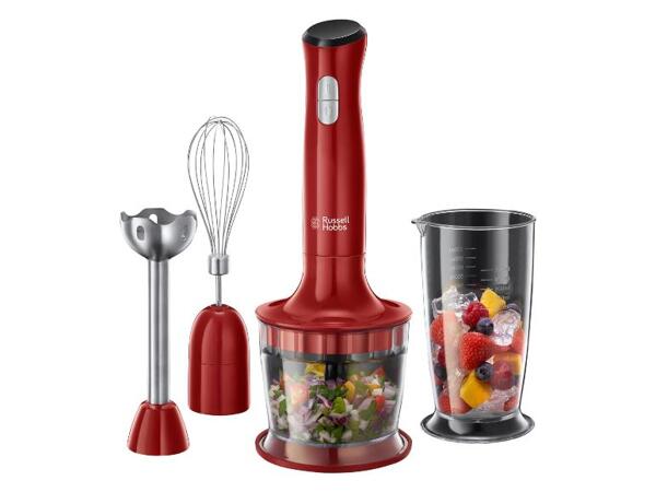 Tyčový mixér Desire 3 v 1 24700-56