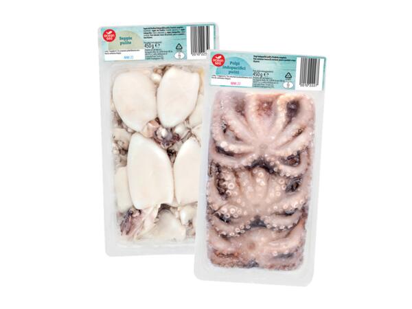 Octopus or Cuttlefish